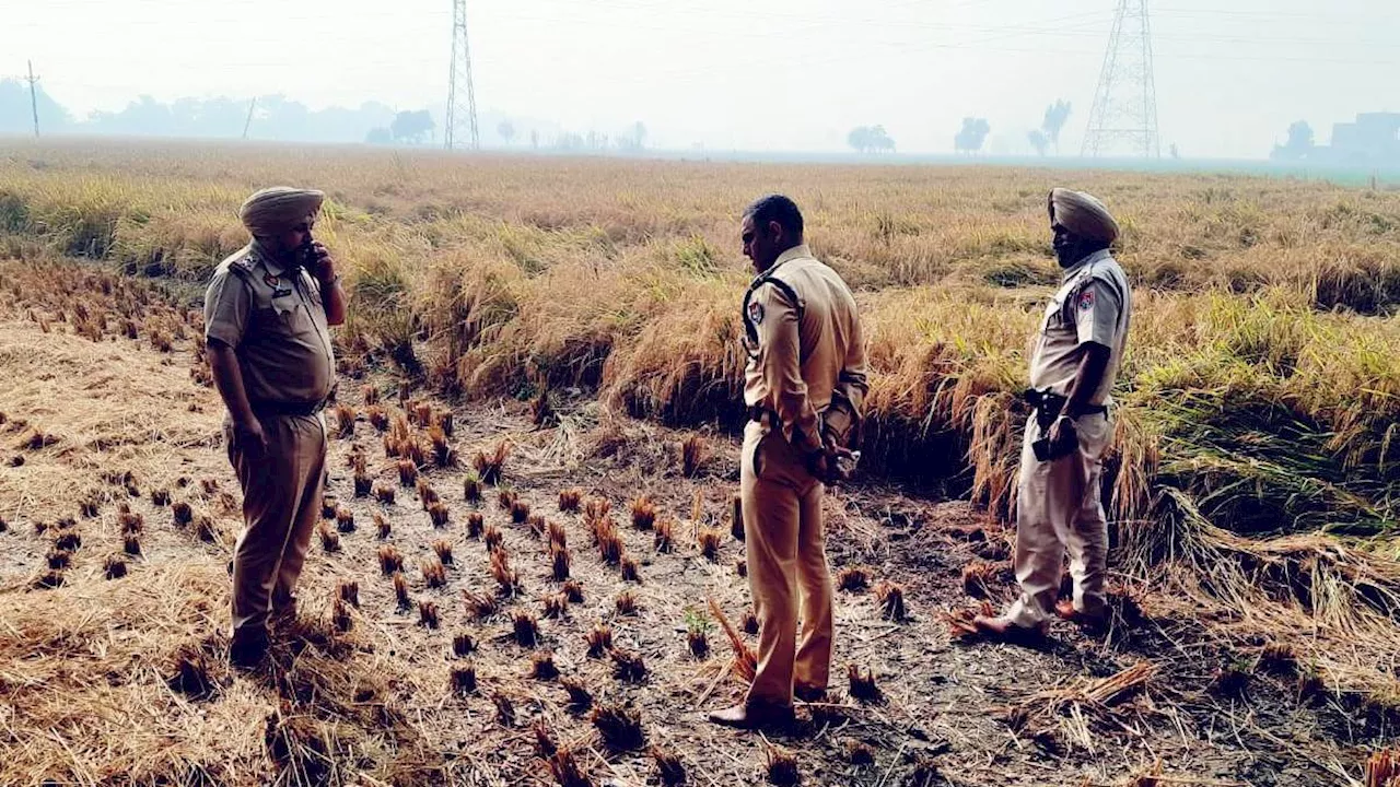 Stubble Burning: पंजाब में नहीं थम रही पराली जलाने की घटनाएं, तरनतारन में एक दिन में 40 नए मामले आए सामने