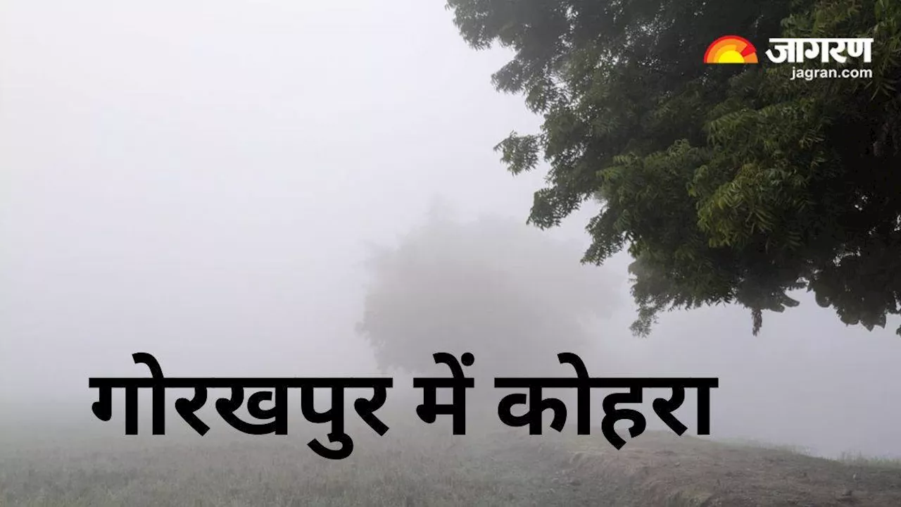 UP Weather News: गोरखपुर छाया घना कोहरा, कानपुर में ठंडक बढ़ते ही बिगड़ने लगी हवा; पढ़‍िए IMD का ताजा अपडेट