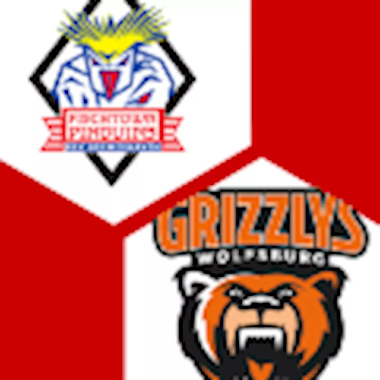 Grizzlys Wolfsburg 6:1 | 15. Spieltag | Deutsche Eishockey-Liga 2024/25