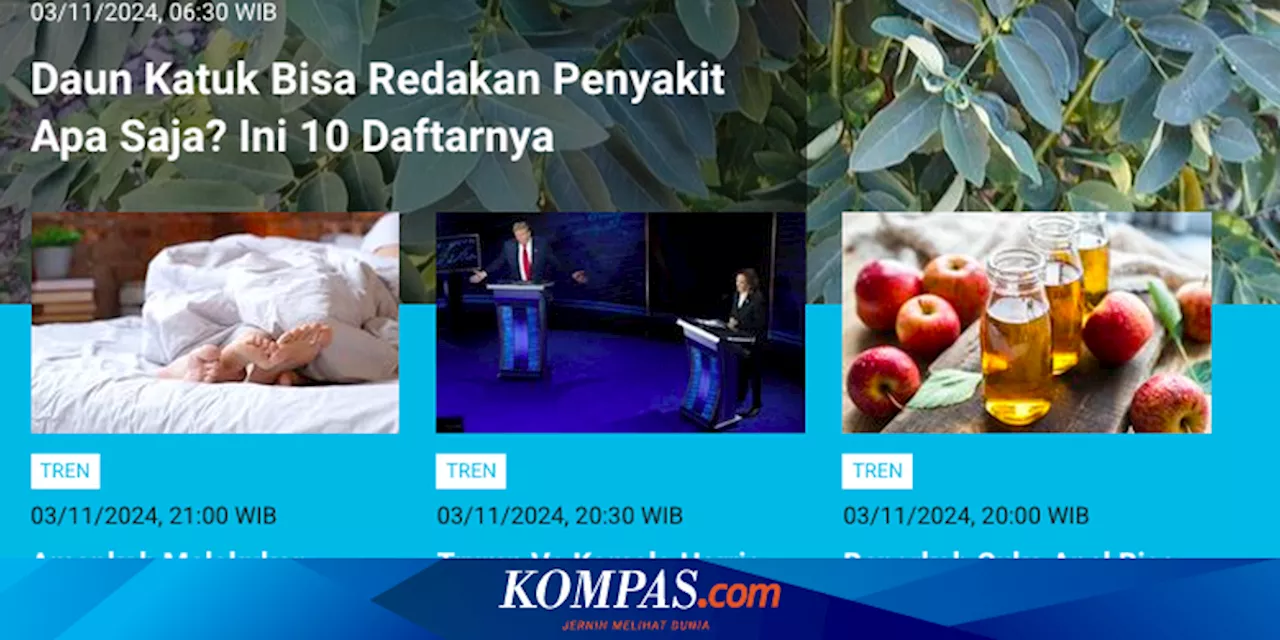 [POPULER TREN] Daftar Penyakit yang Diredakan dengan Daun Katuk | Orang Terkaya Indonesia Versi Forbes November 2024