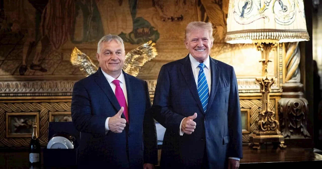 Orbán will bei Trump-Sieg Europas Unterstützung der Ukraine diskutieren