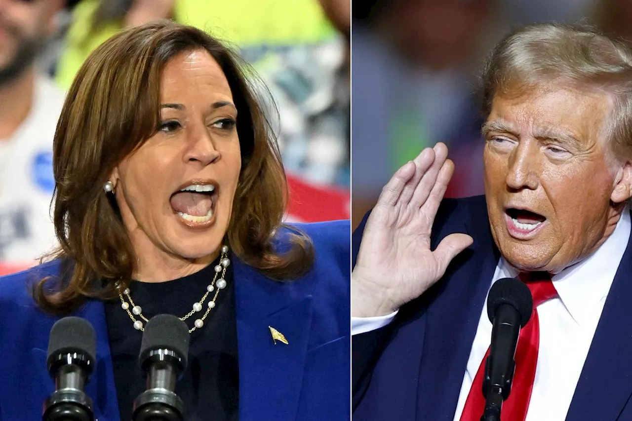 Harris et Trump jettent leurs dernières forces dans une fin de campagne anxiogène