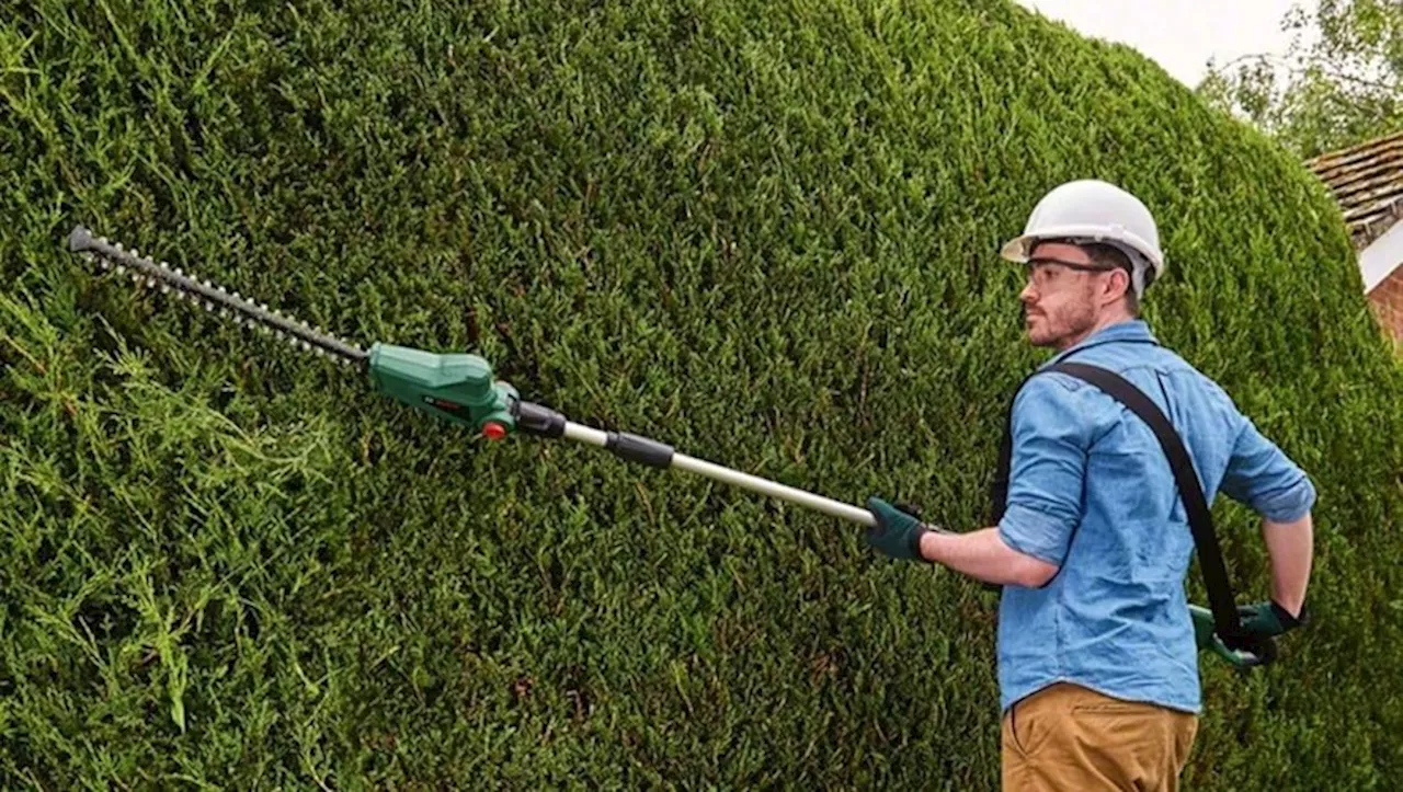 Vos haies seront resplendissantes avec ce taille-haie télescopique Bosch à prix malin