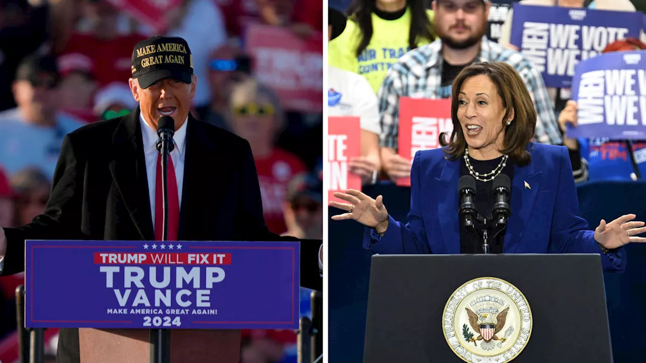 Harris and Trump make closing pitches with two days to election