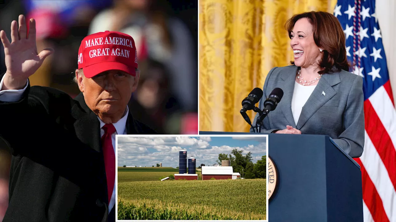 Iowa poll bombshell predicts Harris victory in blow to Trump campaign days before election