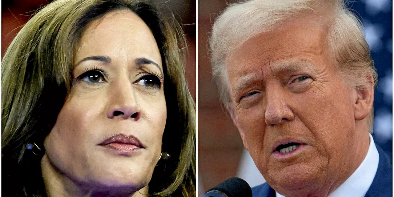 Présidentielle américaine : tout est encore possible entre Trump et Harris