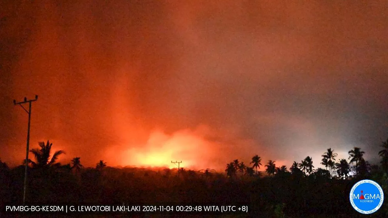 Terus Bergejolak, Gunung Lewotobi Laki-Laki Naik Status Jadi Awas