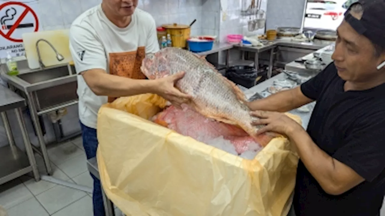 Poached baby octopus and a variety of fresh fish ‘offal’ headline Teochew-style seafood noodles, porridge at Xin Teochew Seafood Porridge & Noodle in Sunway Mas, PJ