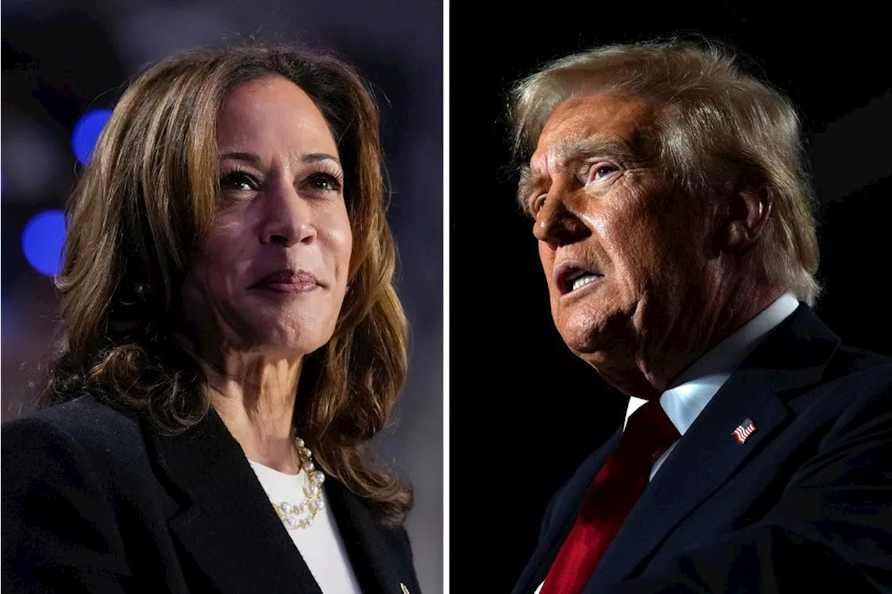 Harris and Trump focus on Sunbelt states during final weekend push for votes