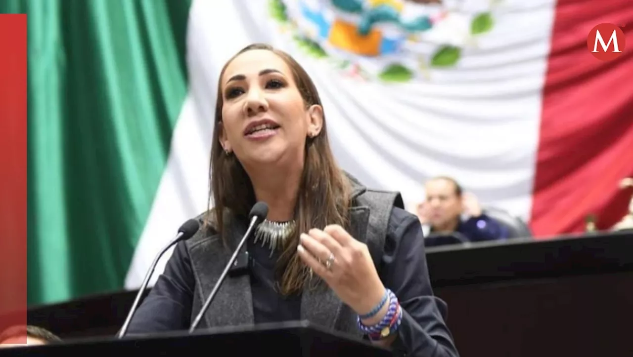 PAN mantendrá ofensiva contra ley de “supremacía dictatorial”: Noemí Luna