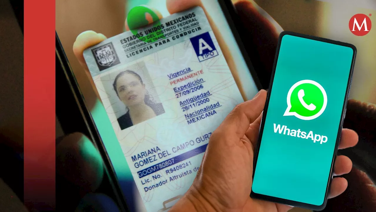 Renovación de licencia de conducir de CdMx 2024; así podrás hacerlo a través de WhatsApp