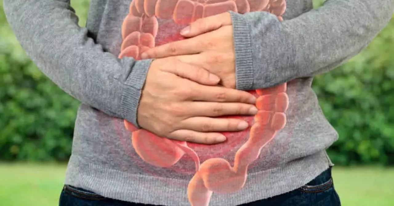 Digestive Health: दिवाली में मिठाई और पकवान खाने के बाद हुए कमजोर पाचन तंत्र को ऐसे बनाएं मजबूत