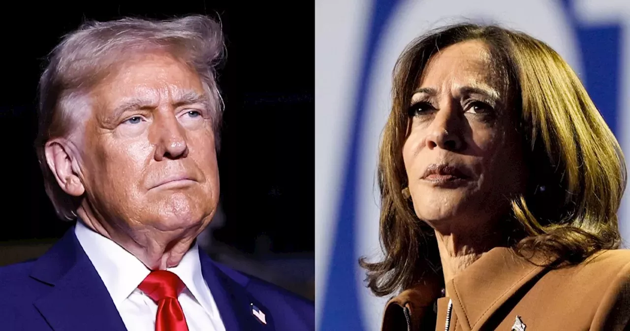 Election 2024 live updates Trump to rally on East Coast; Harris to