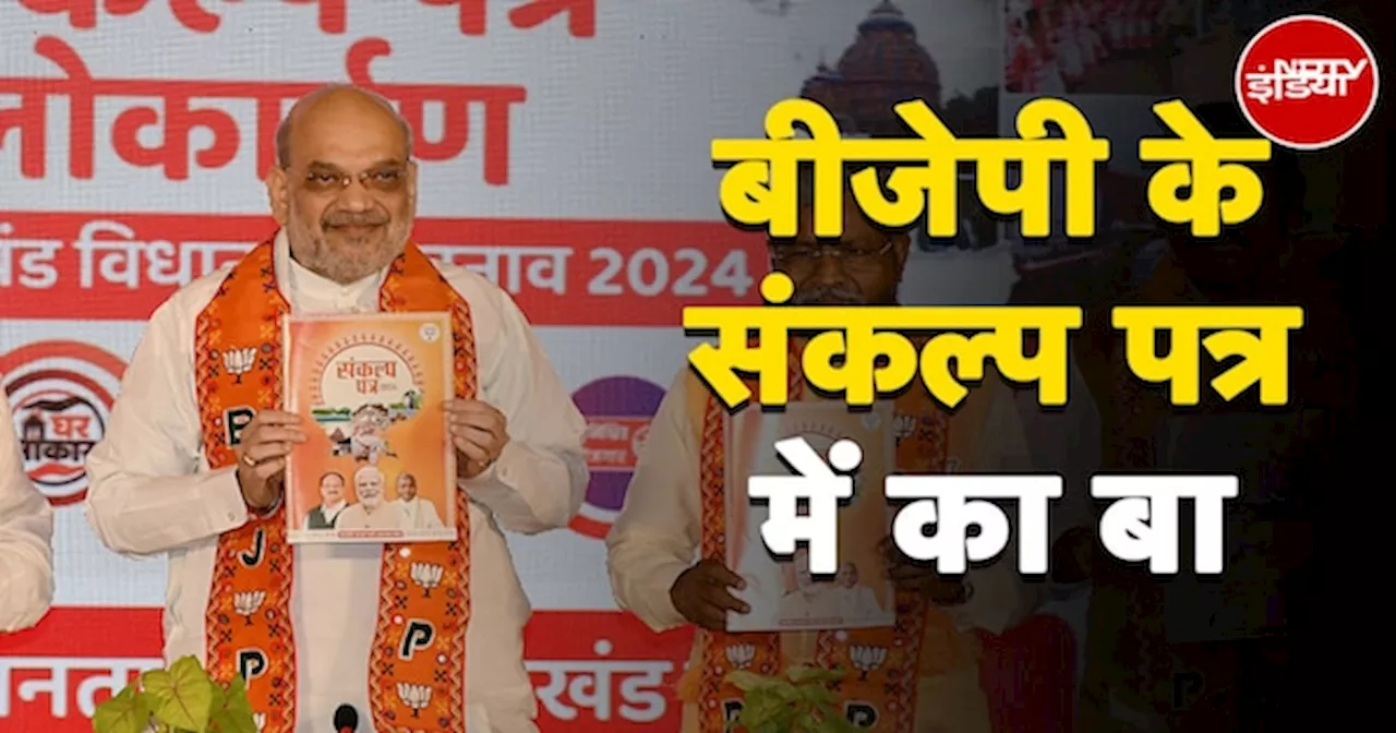 Jharkhand Election: झारखंड के संकल्‍प पत्र में BJP ने किये क्‍या-क्‍या वादे?