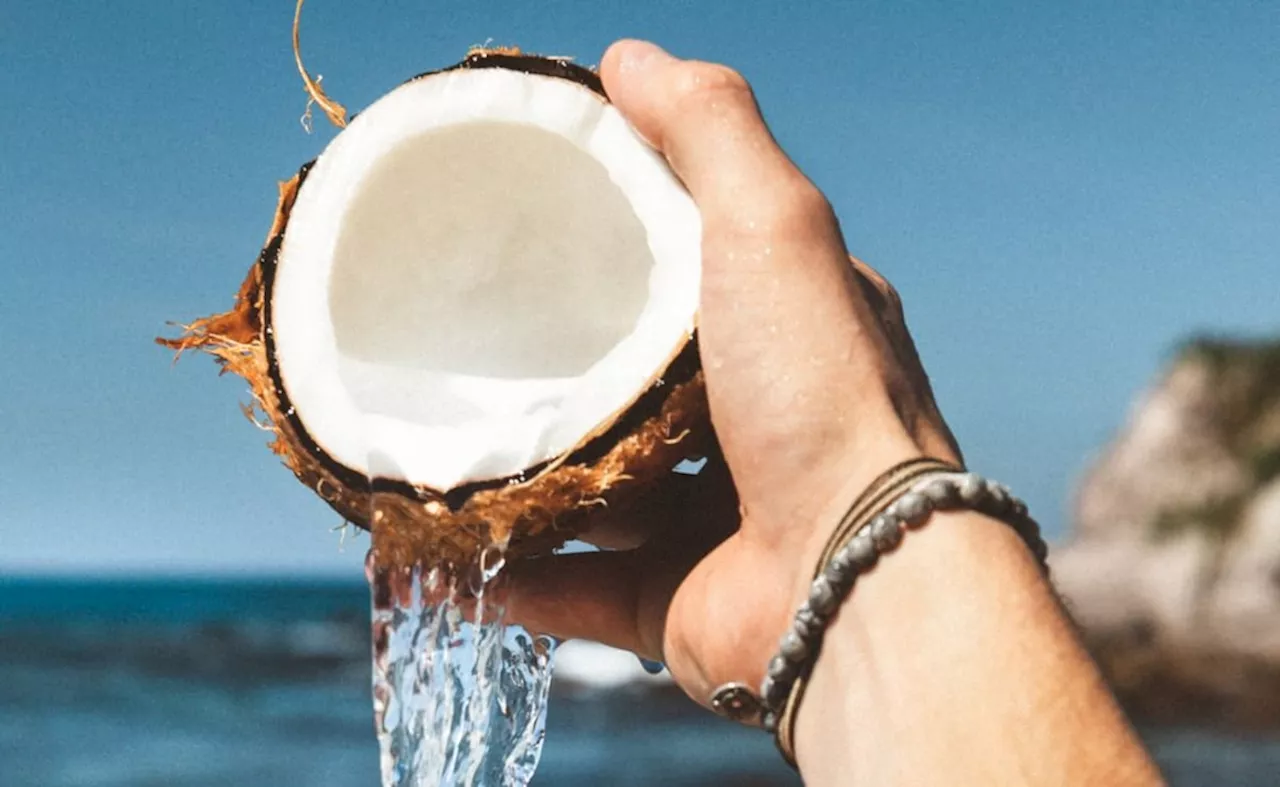 Right time to drink coconut water : नारियल पानी पीने का सही समय क्या है, जानिए यहां