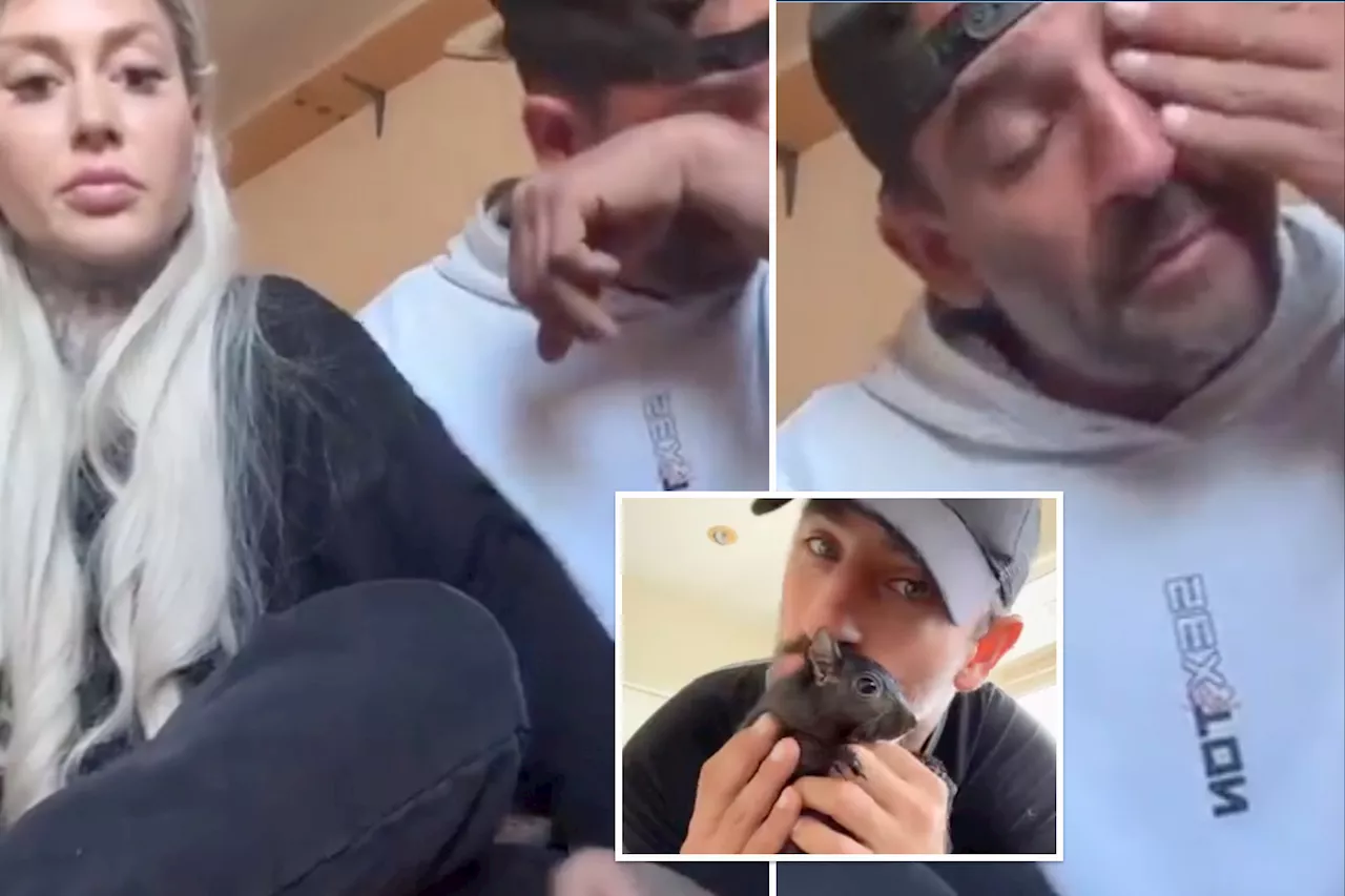 P'nut the Squirrel's grieving family gives tearful statement on TikTok: 'I'm sad, I'm disgusted'