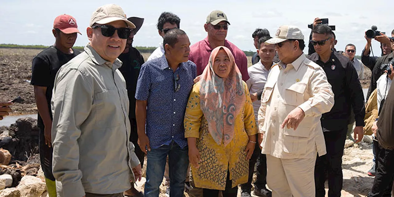 Prabowo Akan Percepat Proyek Cetak Sawah 1 Juta Hektare Garapan Haji Isam di Wanam