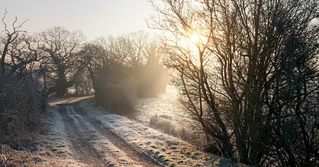 Ireland weather: Temps set to hit 17 degrees ‘well above’ November average