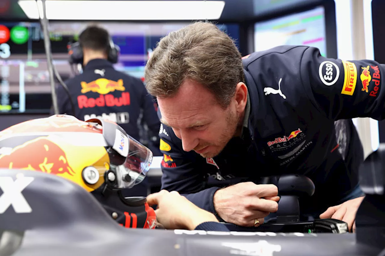 Christian Horner (Red Bull Racing): Fehler gefunden