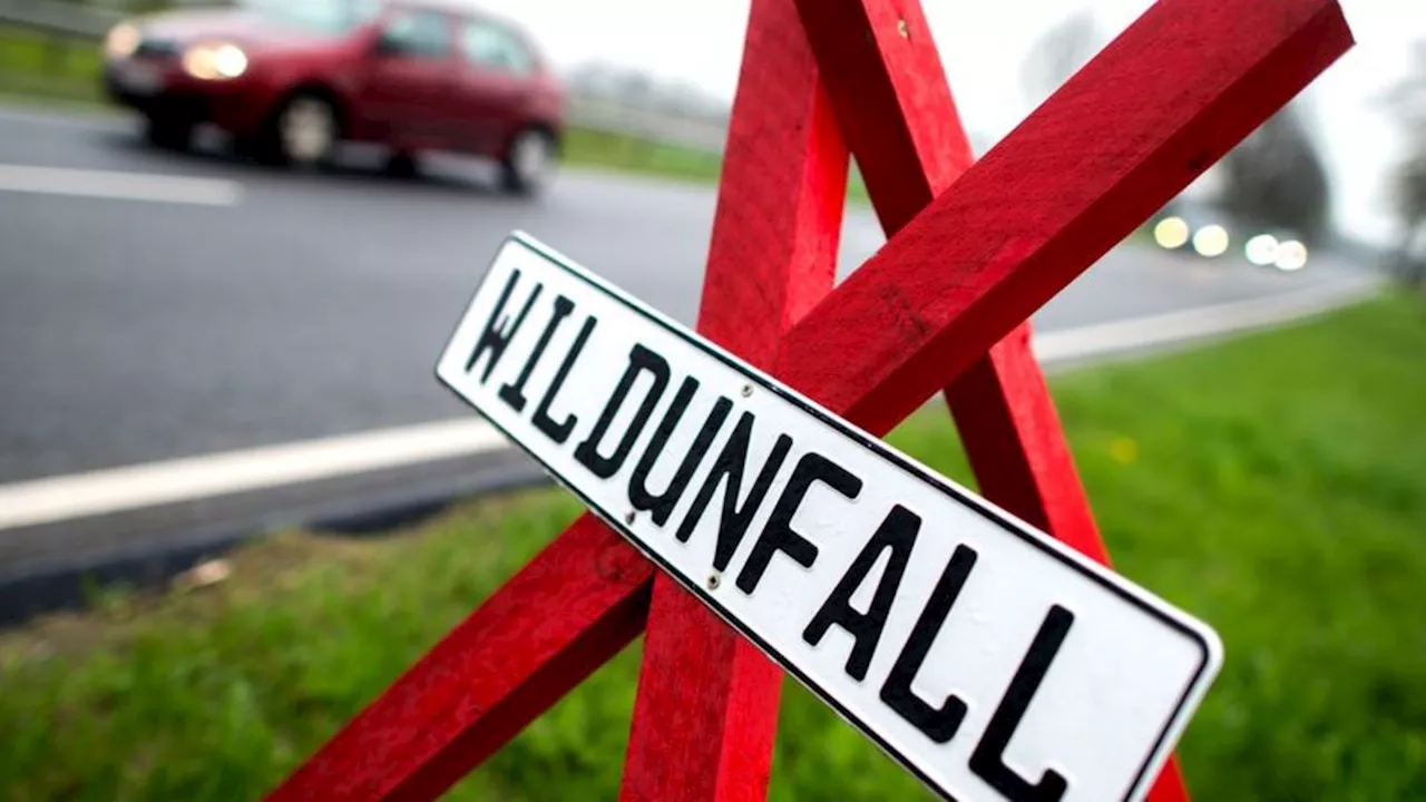 Wildunfall: Motorradfahrer stirbt nach Zusammenstoß mit querendem Hirsch