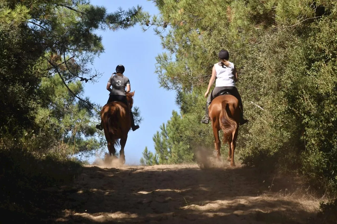 Lot-et-Garonne : une jeune cavalière victime d’une grave chute de cheval