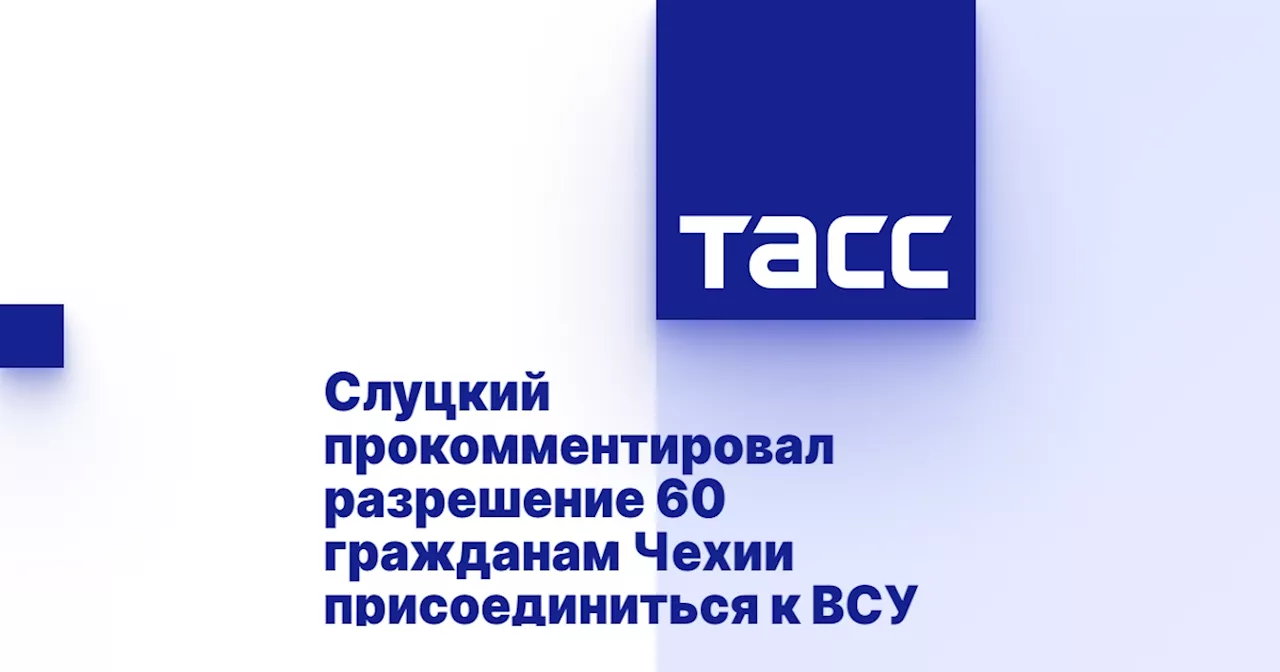 Слуцкий прокомментировал разрешение 60 гражданам Чехии присоединиться к ВСУ