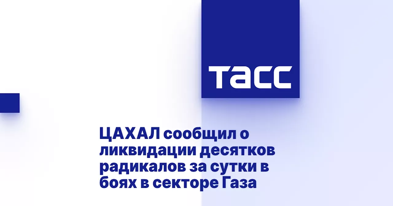 ЦАХАЛ сообщил о ликвидации десятков радикалов за сутки в боях в секторе Газа