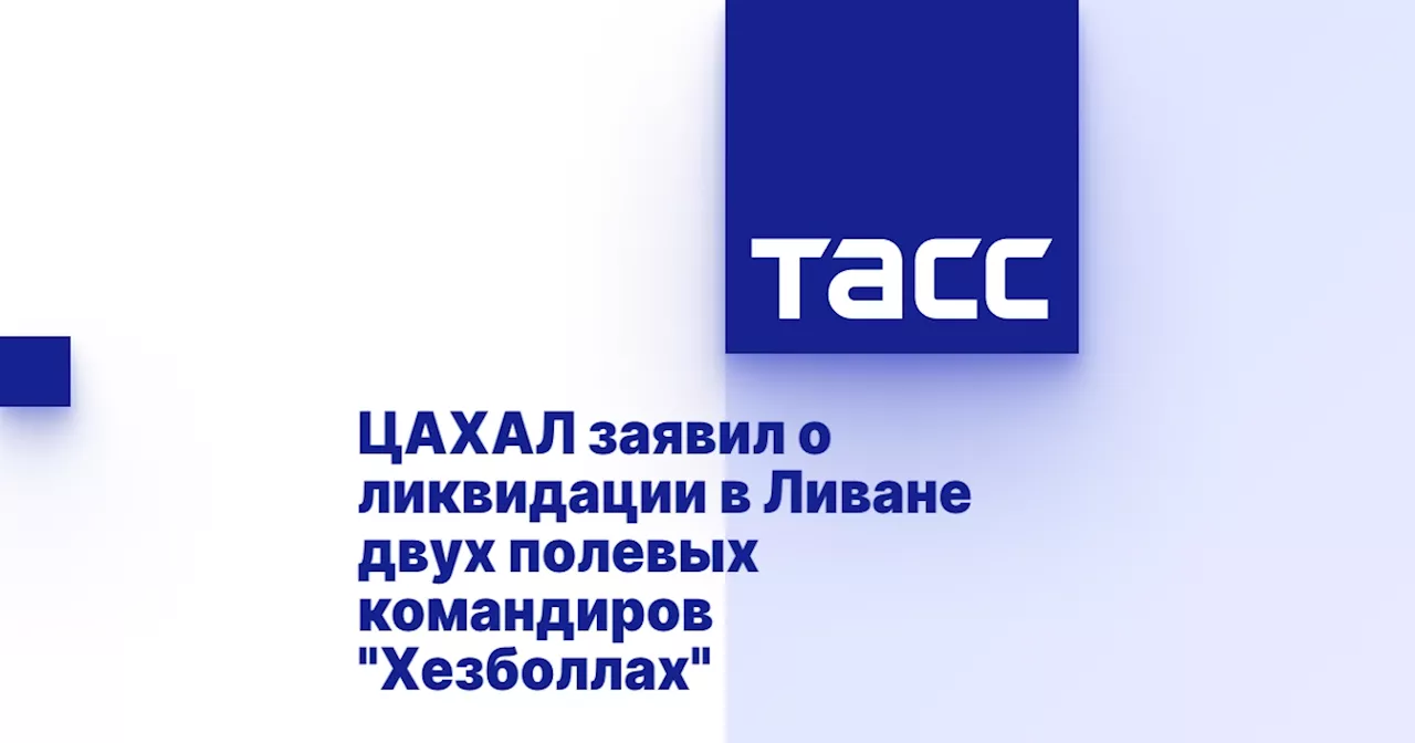 ЦАХАЛ заявил о ликвидации в Ливане двух полевых командиров 'Хезболлах'