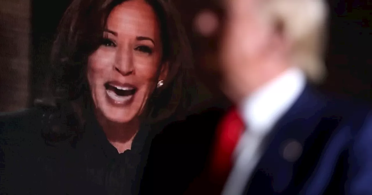 Trump Plummets in Election Betting Odds After Shock Poll Shows Him Losing Iowa to Harris