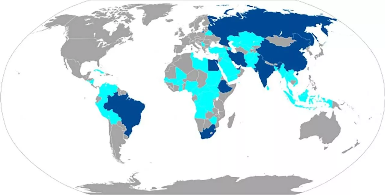 From dollar monopoly to BRICS diversification: An update