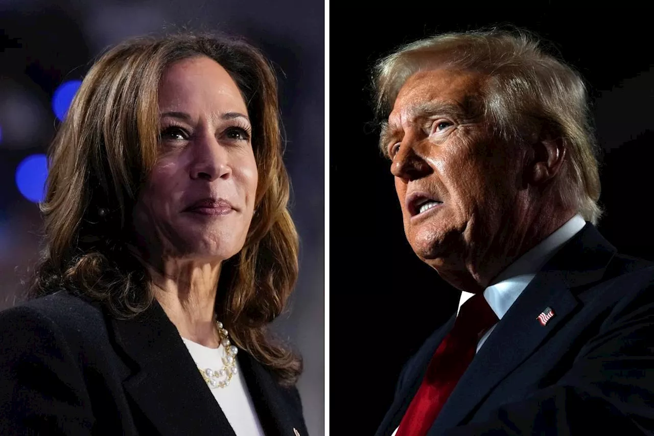 Harris and Trump focus on Sunbelt states during final weekend push for votes