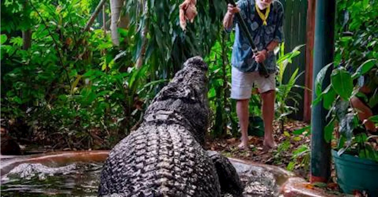 World’s largest captive crocodile Cassius dies in Australia