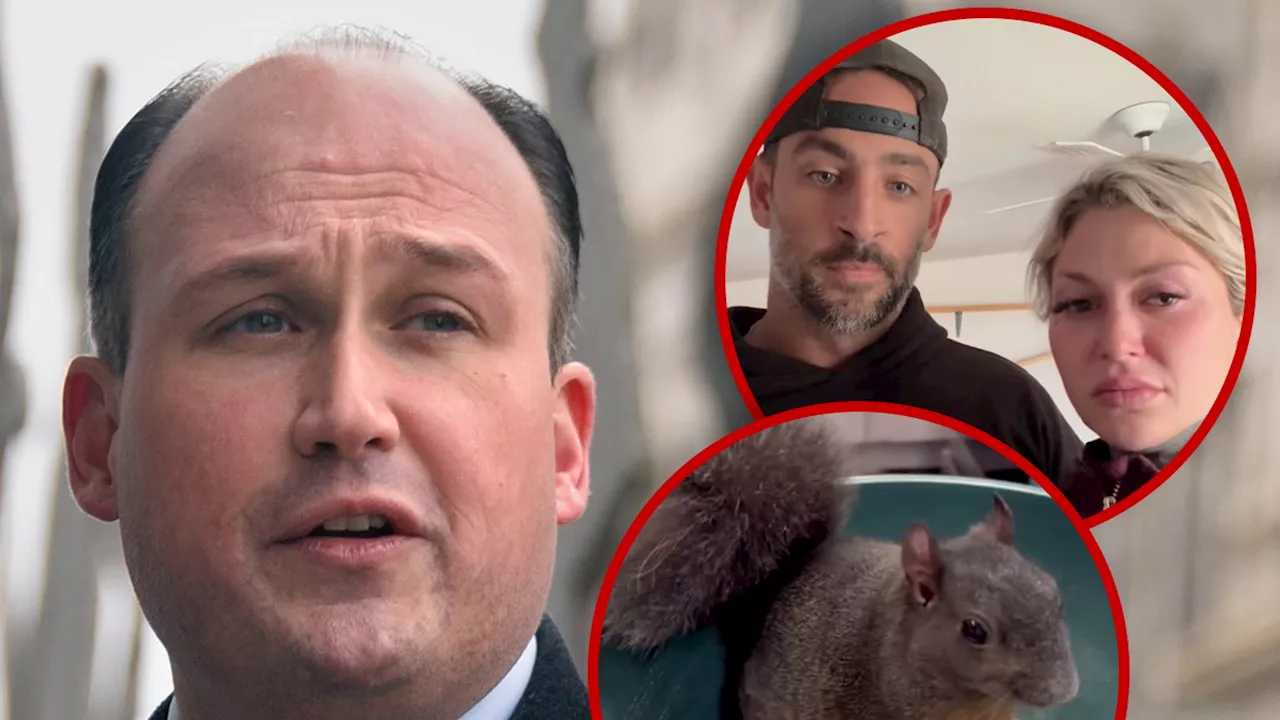 New York Congressman Demands Answers From Governor About Peanut the Squirrel