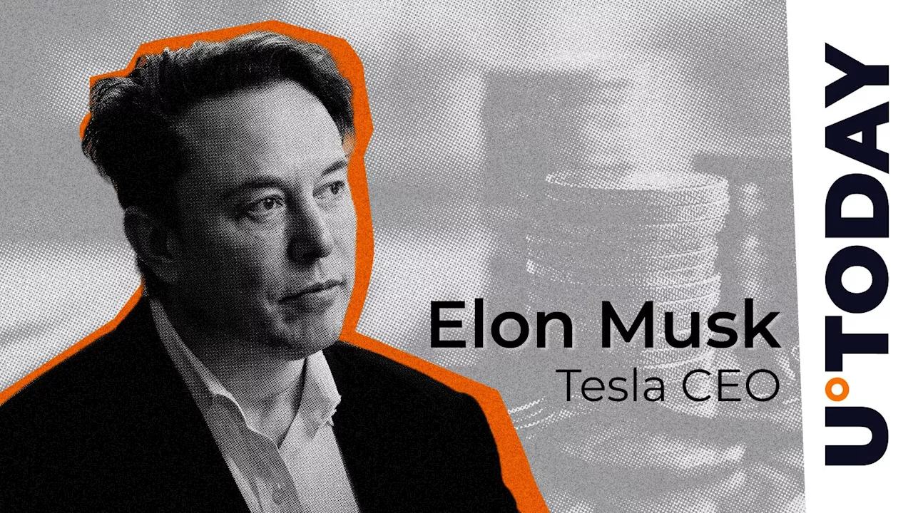 Elon Musk Pushes Market Cap of Squirrel-Based Meme Coin to $125 Million