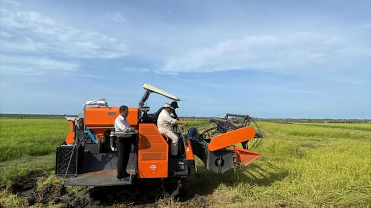 Momen Prabowo Jajal Traktor Lumbung Pangan Nasional di Merauke