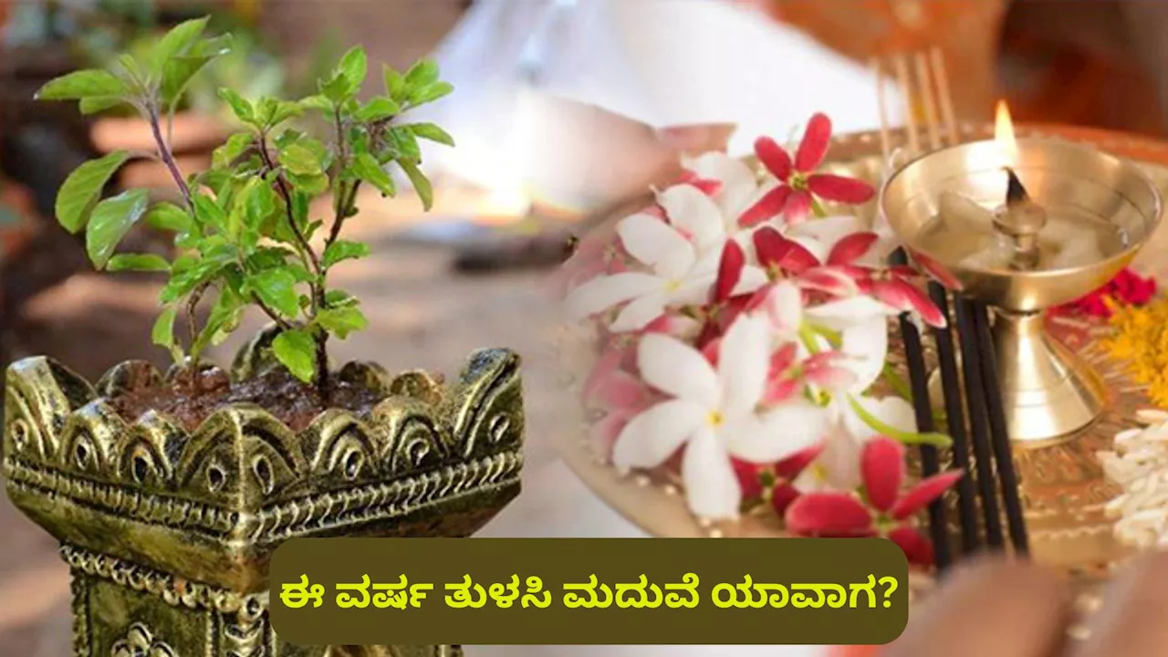 ಈ ವರ್ಷ ತುಳಸಿ ಮದುವೆ ಯಾವಾಗ? ಎಲ್ಲಾ ರೀತಿಯ ಸಂಕಷ್ಟದಿಂದ ಪಾರಾಗಲು ಮಾಡುವ ಪೂಜಾ ವಿಧಾನ ತಿಳಿಯಿರಿ..