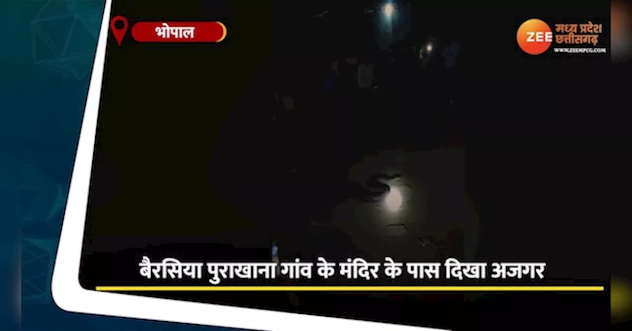 Bhopal Video: बैरसिया में मंदिर के पास रात में घूमता मिला अजगर, ग्रामीणों में दहशत, देखें वीडियो