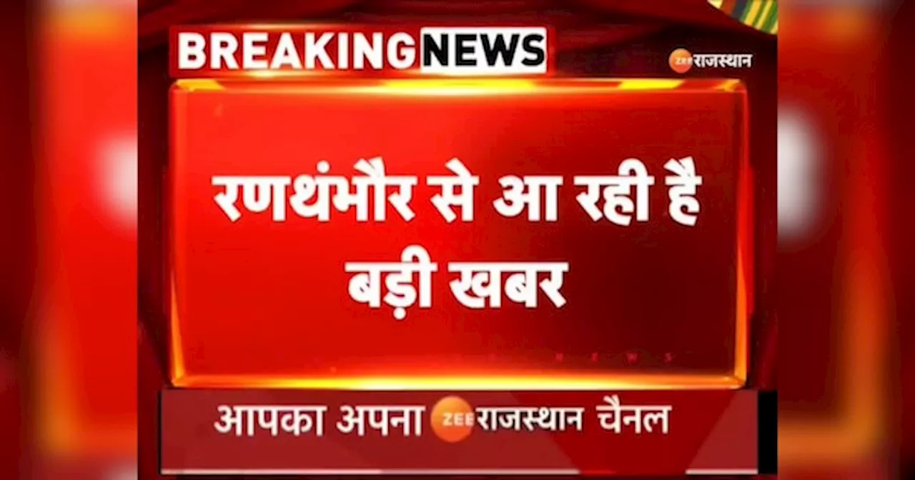 Rajasthan News: रणथंभौर नेशनल पार्क के टाइगर टी-86 की मौत, Social Media पर Video Viral