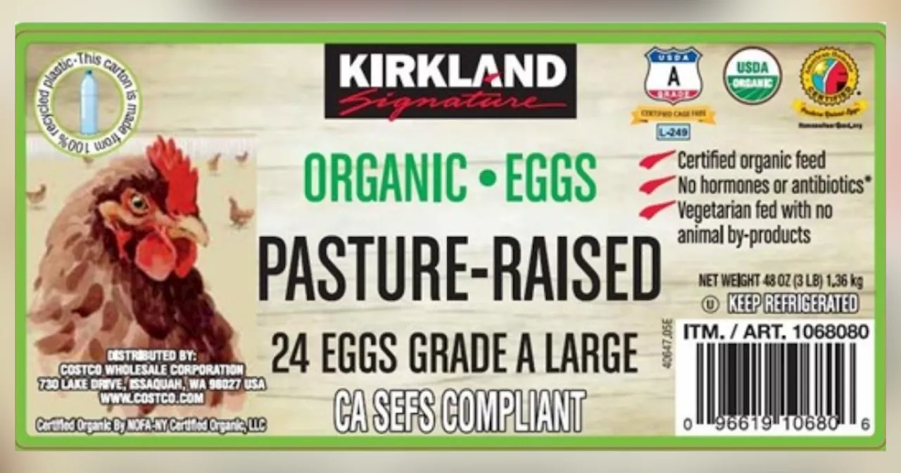 Costco Egg Recall: Salmonella Risk in Kirkland Signature Organic Eggs