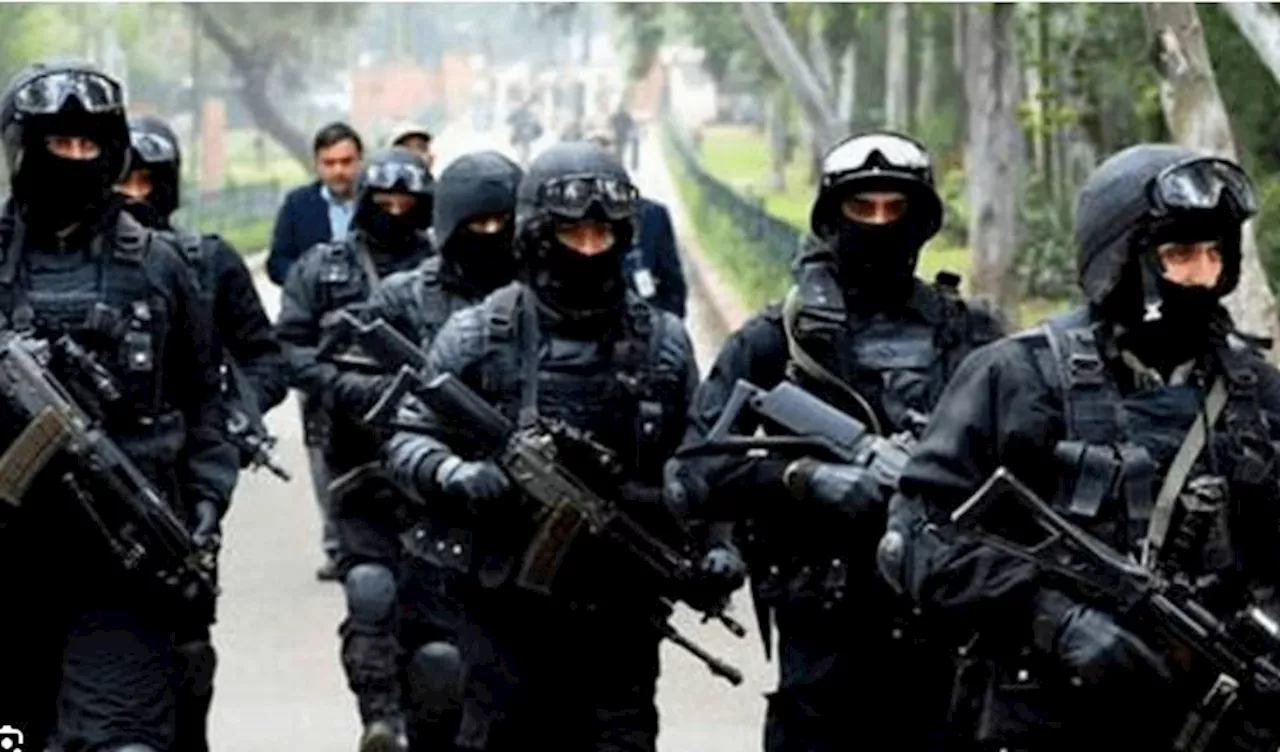 242 Intelligence-Based Operations Conducted Across Punjab: 34 Terrorists Arrested