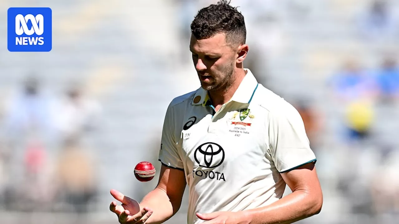 Josh Hazlewood Out of Second Test Against India Due to Injury