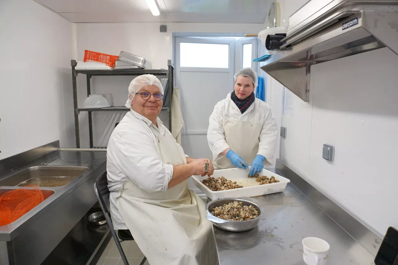 Dans cette petite commune du Calvados, François commercialise 150 000 escargots