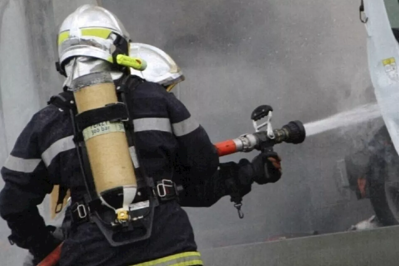 Val-d'Oise : un chat piégé dans l'incendie d'un appartement, trois occupants évacués