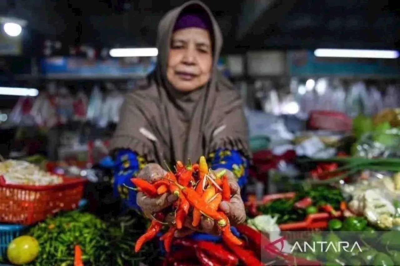 Harga pangan akhir November, cabai rawit merah capai Rp39.520 per kg