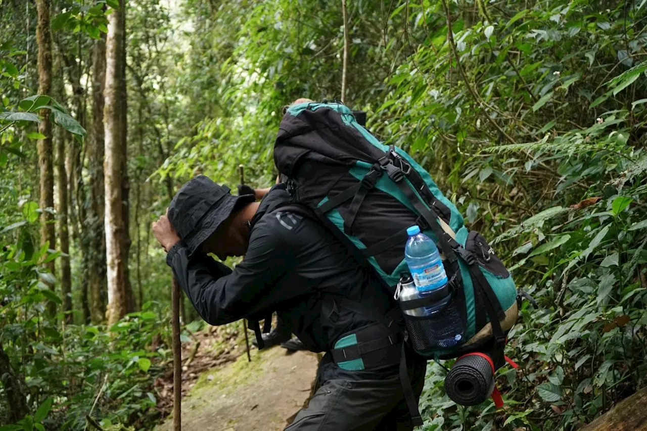 Psikolog sebut toxic masculinity jadi faktor pemicu pria bunuh diri