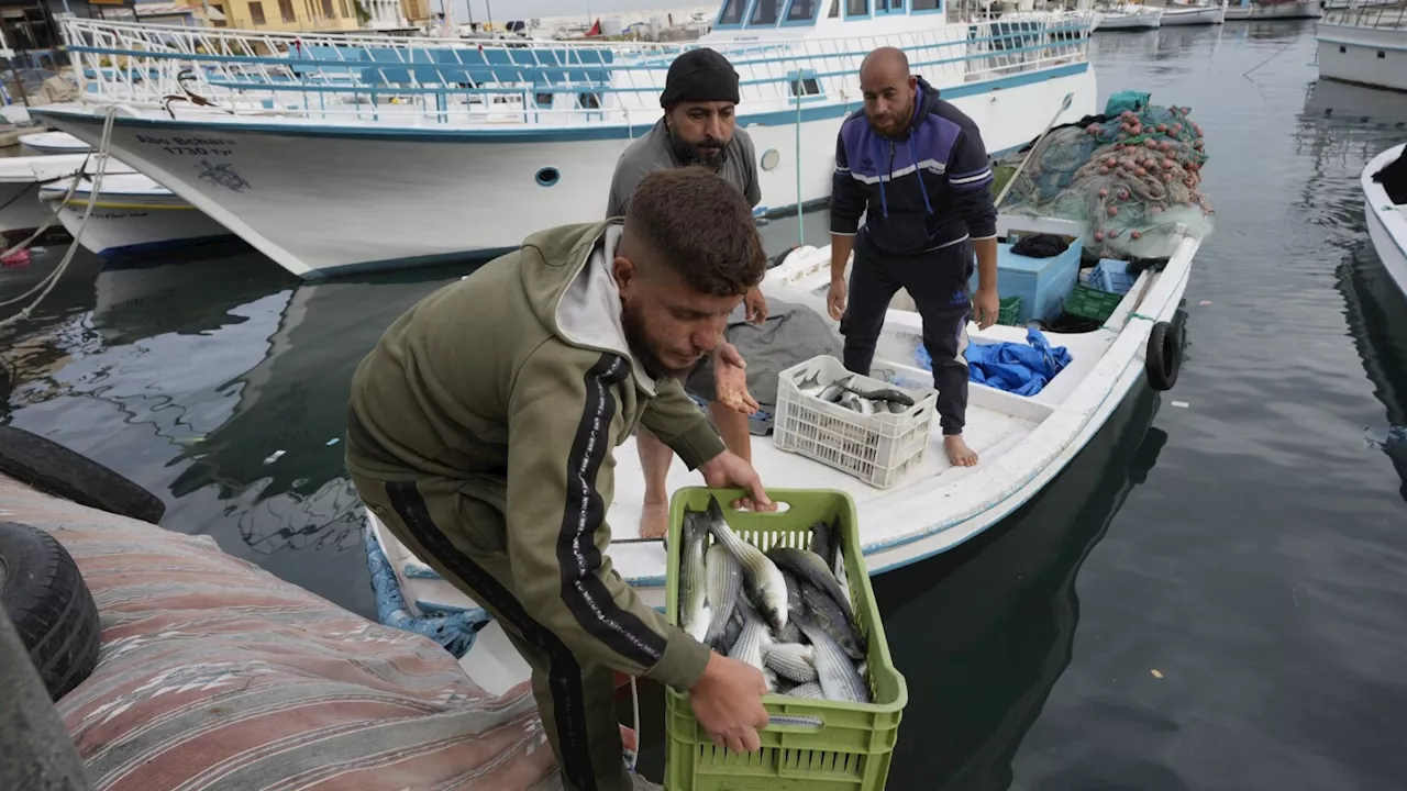 Fishermen in Tyre Reclaim Seas Amid Ceasefire Hope