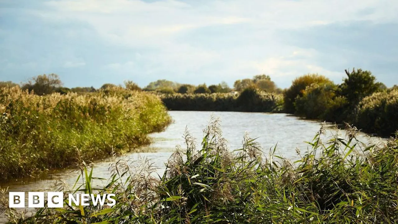 Sussex: How restoring Pevensey Levels wetlands could save species