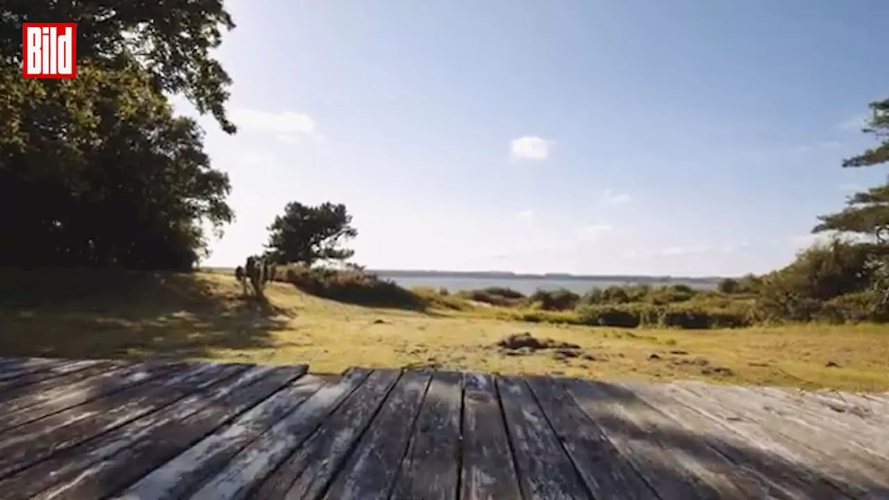 CDU-Werbespot: Landschaften und Menschen werden aus dem Ausland übernommen