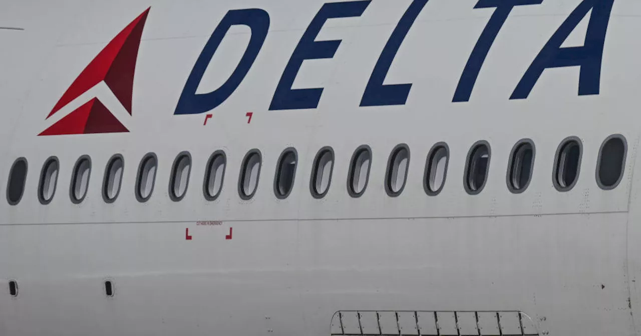 Delta Flight Stowaway Removed After Disturbing Return Flight