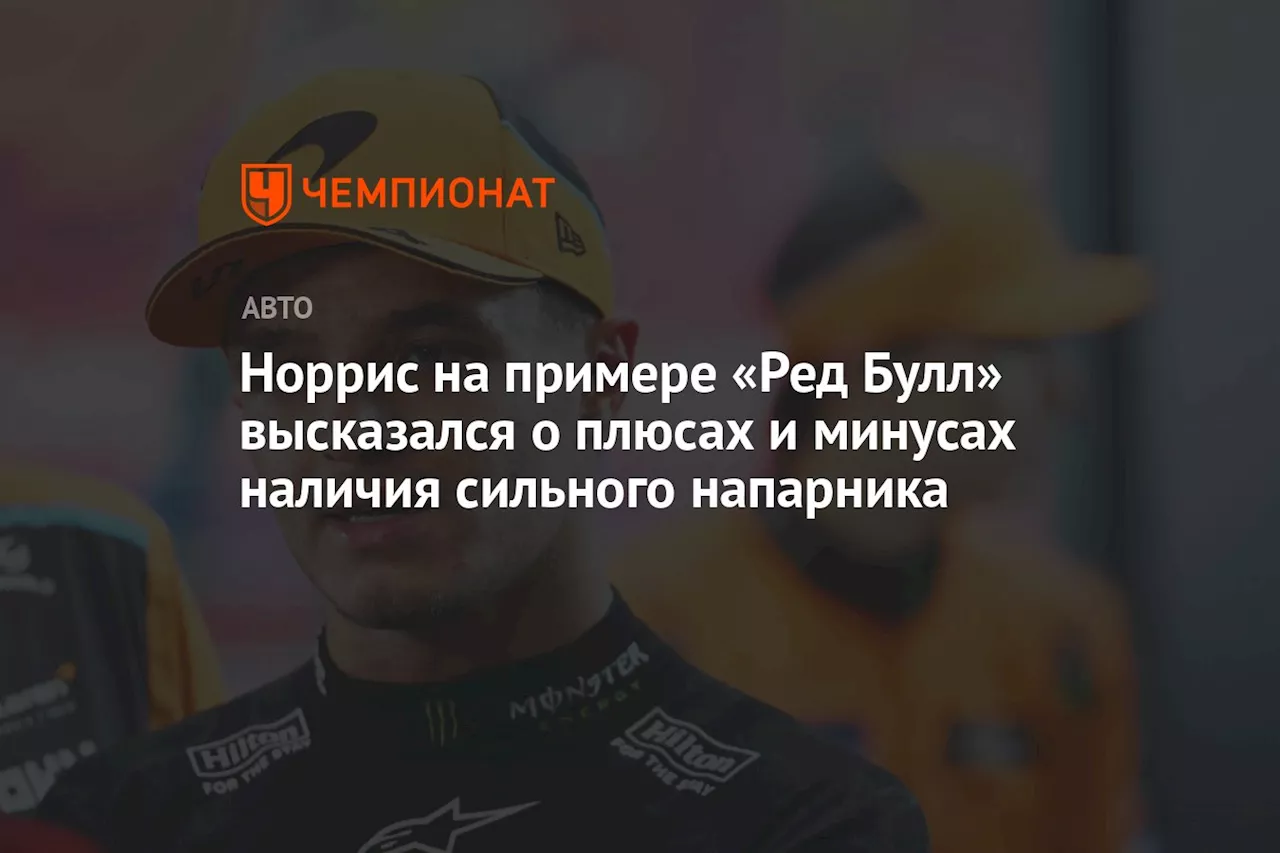 Норрис на примере «Ред Булл» высказался о плюсах и минусах наличия сильного напарника